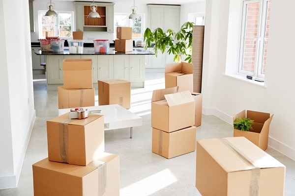 Furniture Removalists 